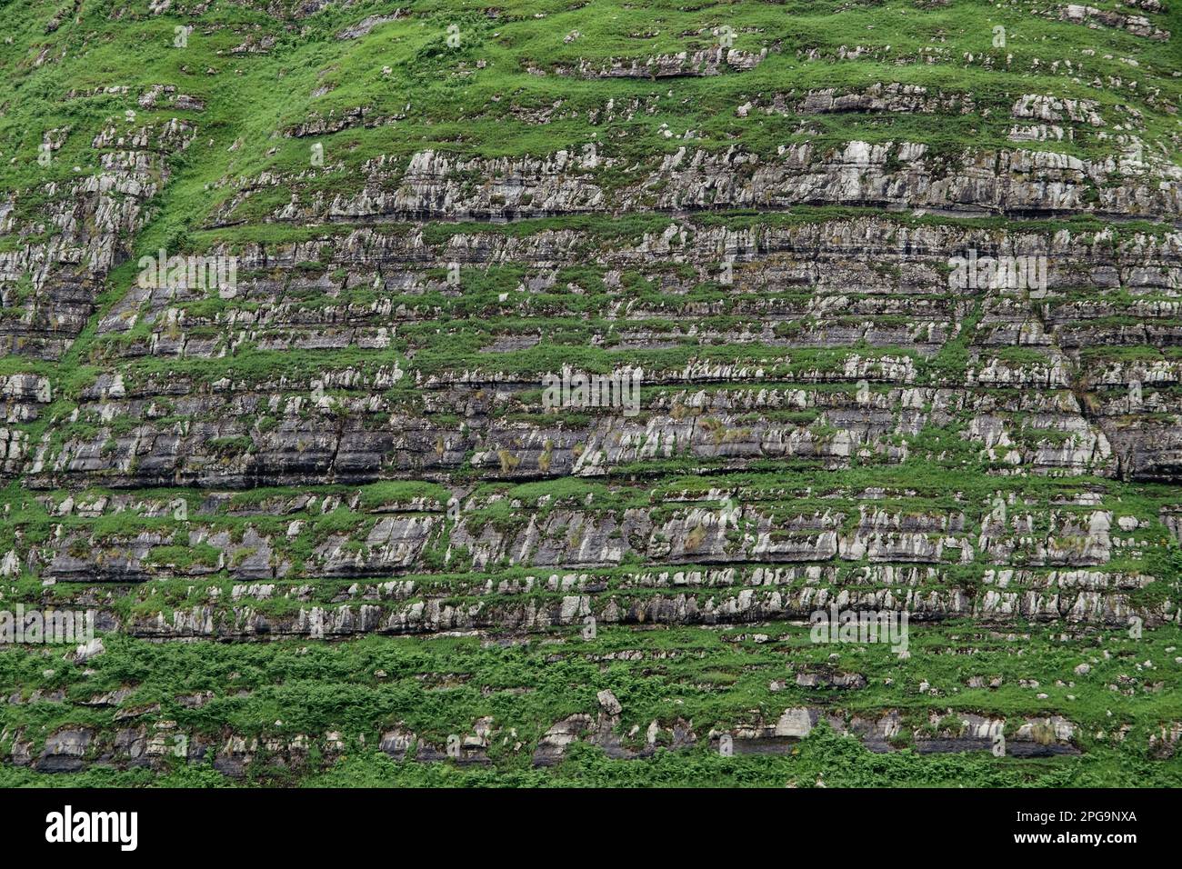 Lignes d'érosion de couches de roches sédimentaires stratifiées en flanc de montagne escarpé, détail de paysage karstique dans la vallée de Miera, Cantabrie, Espagne Banque D'Images