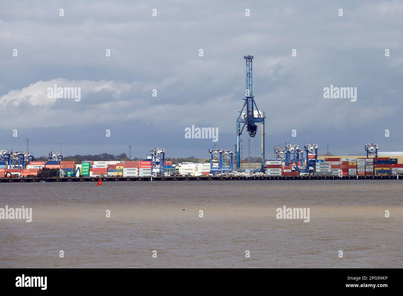 Grues du statif de conteneur au port de Felixstowe, Suffolk, Royaume-Uni. Banque D'Images