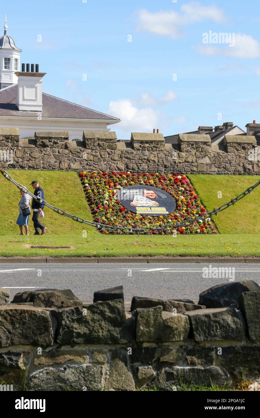 Spring Antrim deux personnes homme et femme marchant devant le lit fleuri hommage au joueur de snooker Mark Allen qui est de la ville. Banque D'Images