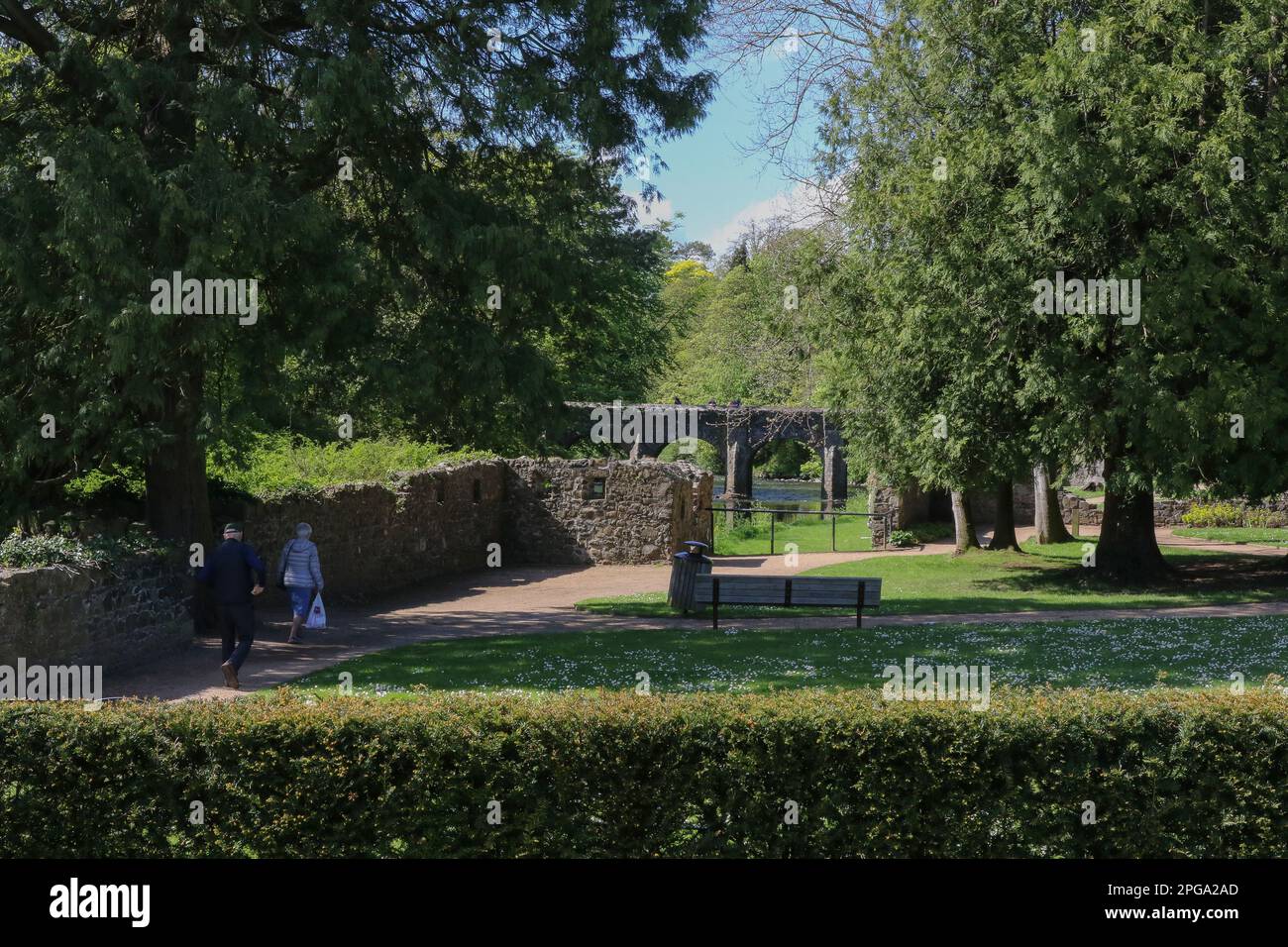 Homme et femme marchant dans les jardins du château d'Antrim le jour de printemps ensoleillé de mai. À côté de la rivière six Mile à Antrim Banque D'Images