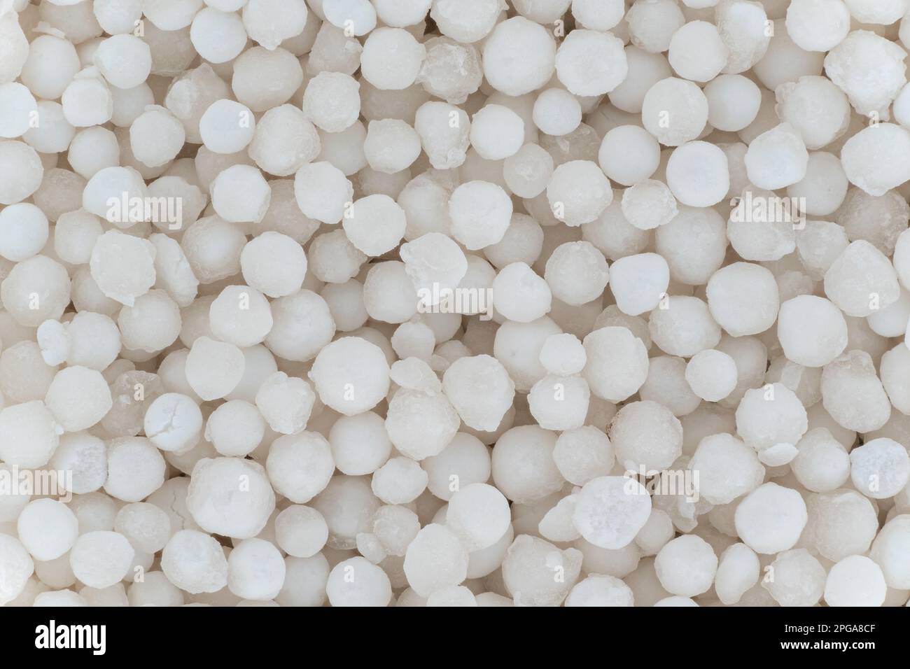 Détail de microscopie en perles d'amidon blanc de tapioca, largeur de l'image 23mm Banque D'Images