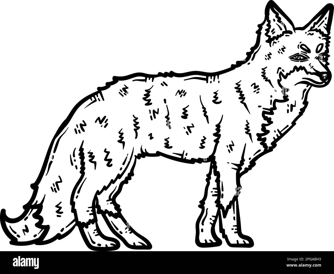Page de coloriage pour animaux de renard pour adulte Illustration de Vecteur