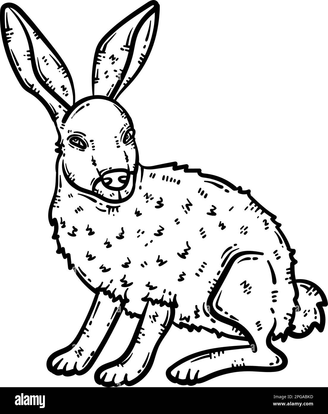 Page de coloriage animal lapin pour adulte Illustration de Vecteur
