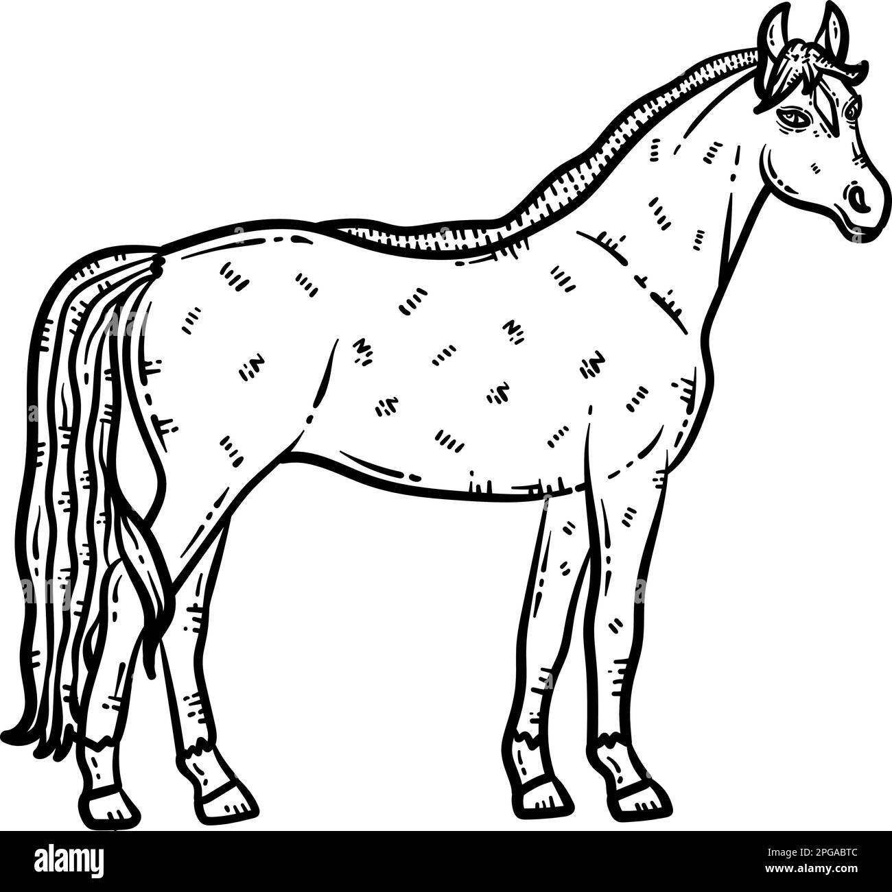 Page de coloriage d'animal de cheval pour adulte Illustration de Vecteur