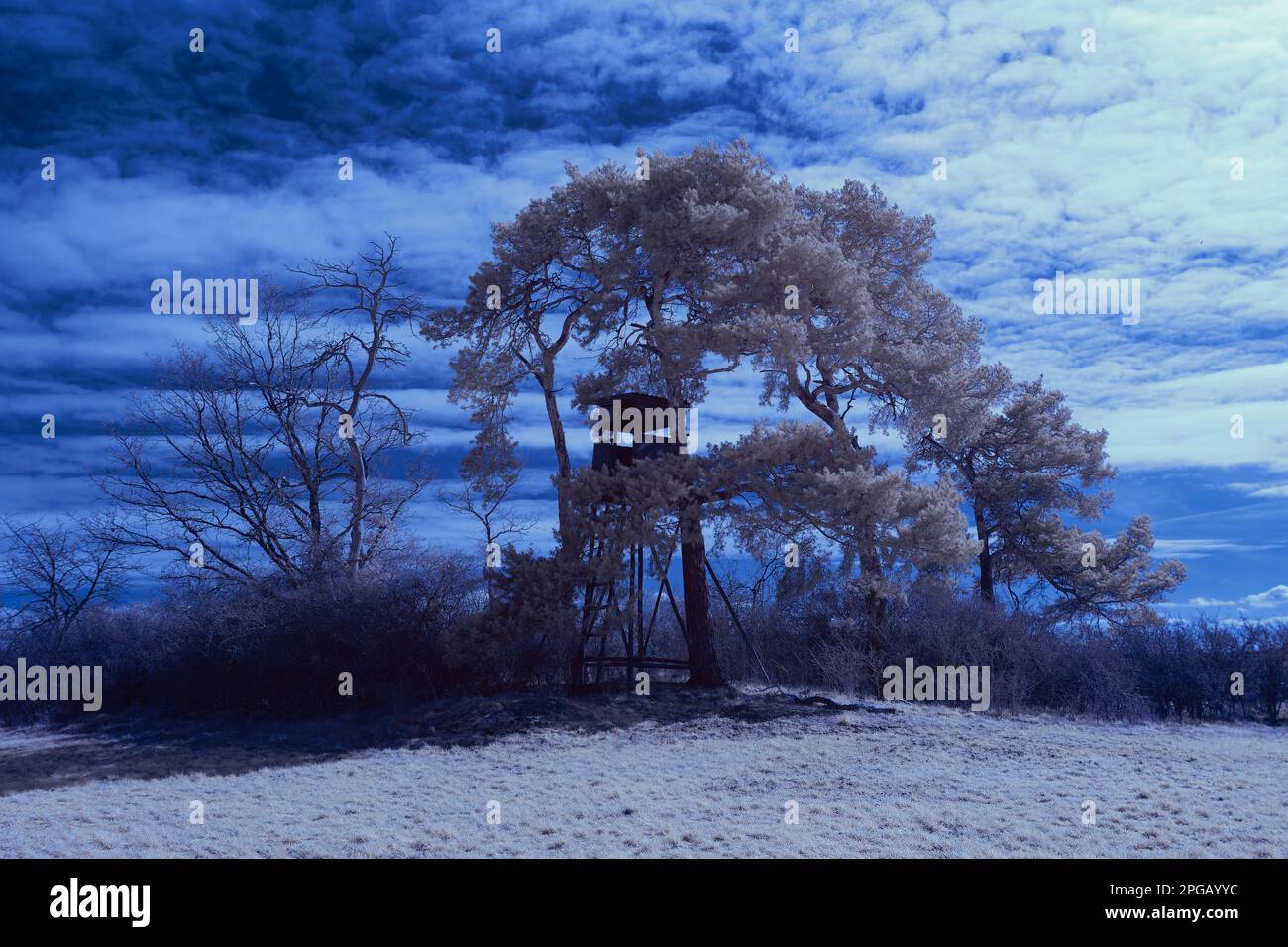 photographie infrarouge - photo infrarouge de paysage sous ciel avec nuages - l'art de notre monde dans le spectre infrarouge Banque D'Images