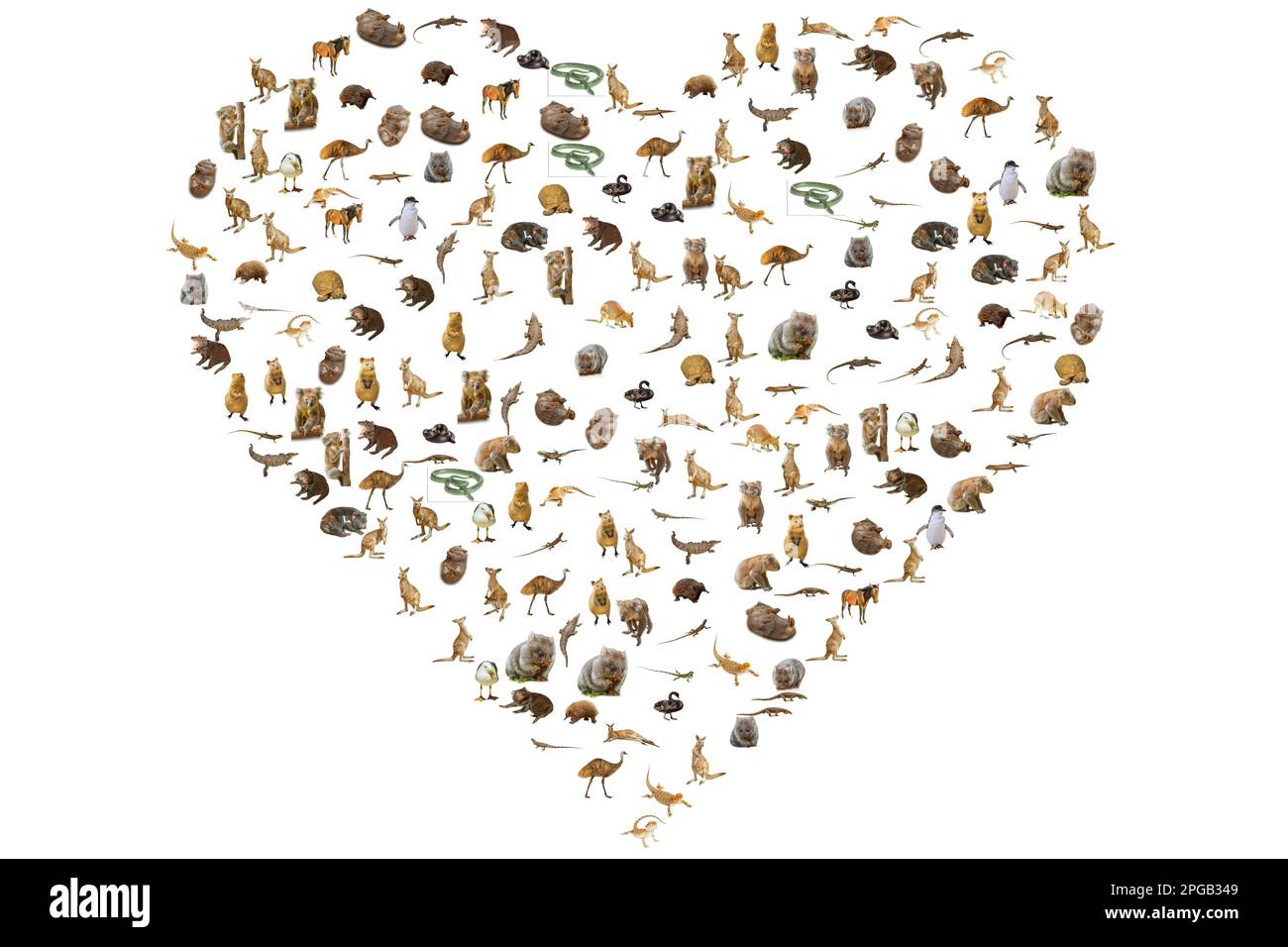 Animaux australiens en forme de coeur. Animaux Sauvages : Emu, Echidna, Diable De Tasmanie, Wombat, Kangaroo, Wallaby Et Penguin, Ducks, Lézards De Snakes Et Banque D'Images