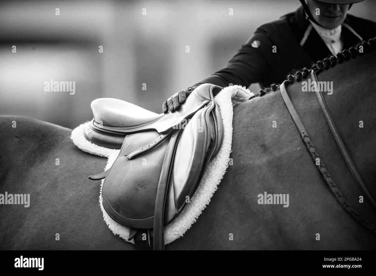 Un pilote équestre participe à la Hunter Division pendant le circuit d'hiver 2023 au Desert International Horse Park en Californie, aux États-Unis. Banque D'Images