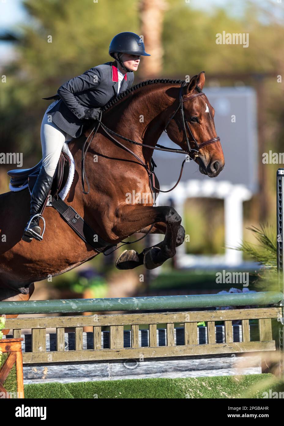 Un pilote équestre participe à la Hunter Division pendant le circuit d'hiver 2023 au Desert International Horse Park en Californie, aux États-Unis. Banque D'Images