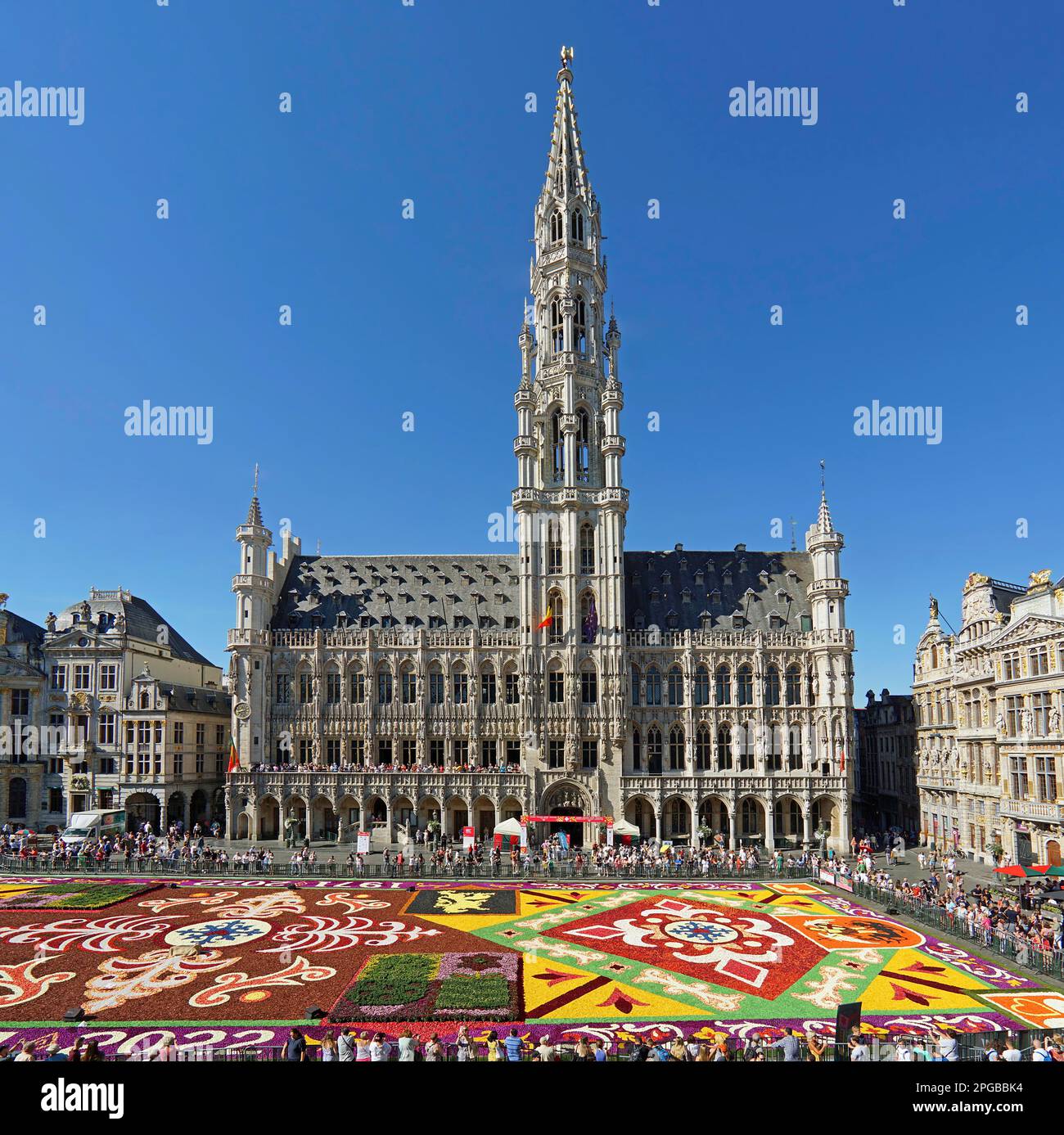 Tapis de fleurs et touristes sur la Grand place (Grand place) en face de l'hôtel de ville historique, Bruxelles, Belgique Banque D'Images