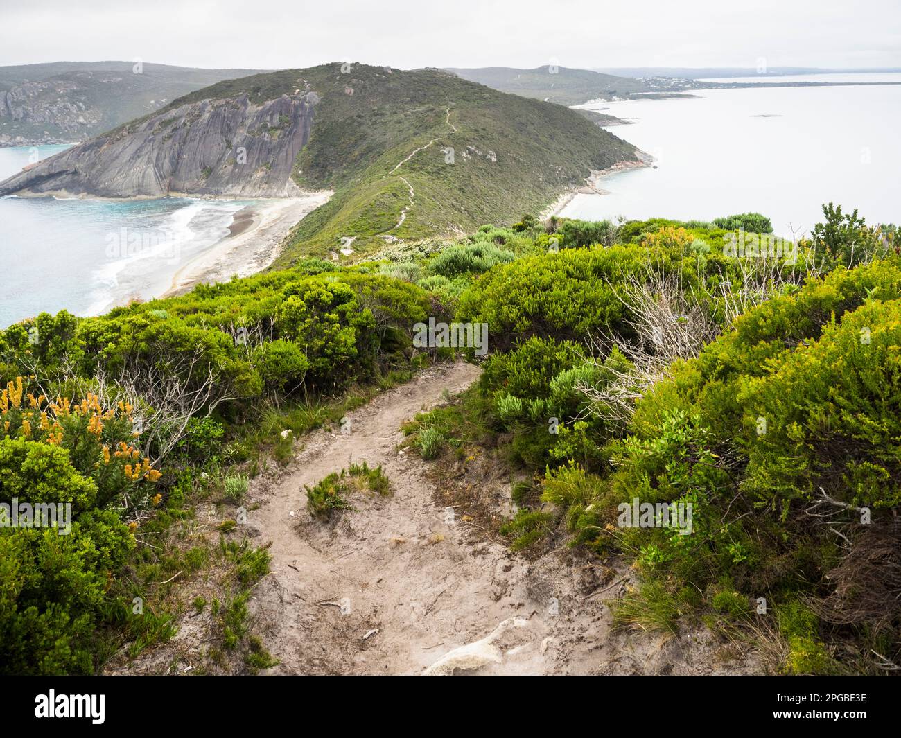 Sentier de randonnée de Bald Head, parc national de Torndirrup, Albany, Australie occidentale, Australie Banque D'Images