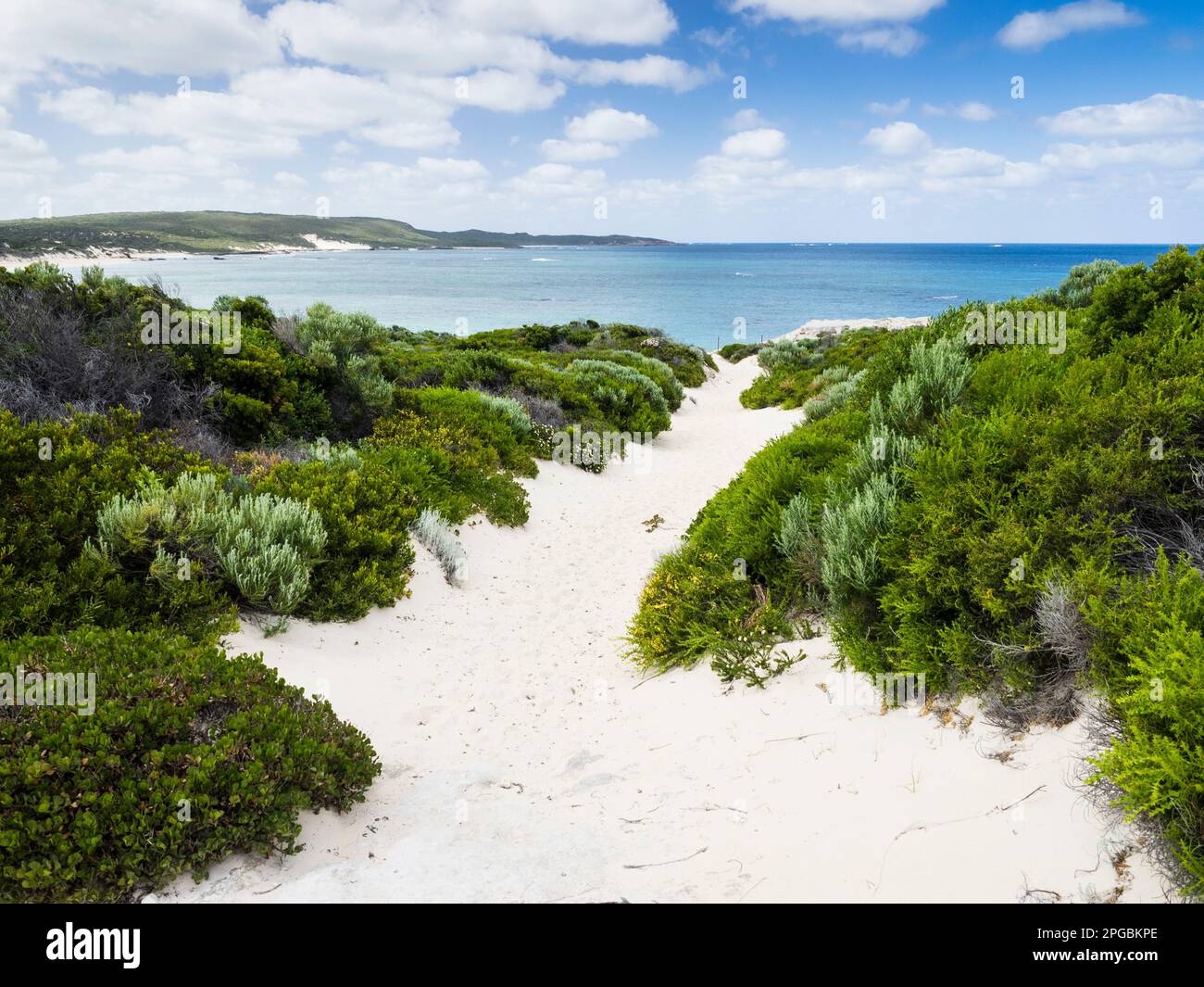 Le sentier de randonnée longue distance de Cape à Cape menant à Foul Bay, Australie occidentale Banque D'Images