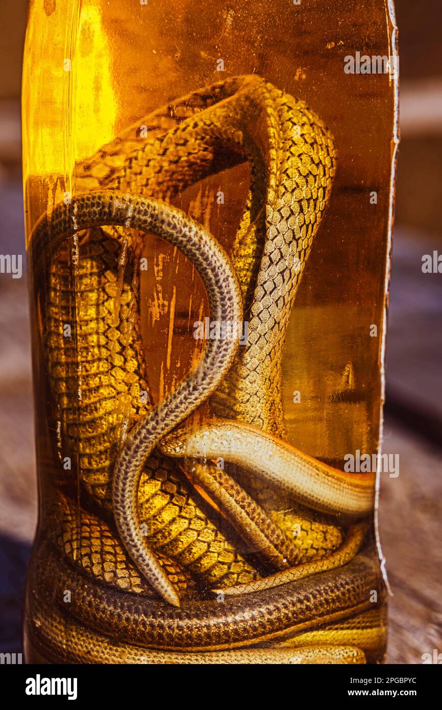 Boisson alcoolisée, teinture à l'aide d'un serpent. Boisson alcoolisée infusée au venin de serpent. Alcool maison avec ajout de serpent et d'herbes. Une potion d'esprit Banque D'Images