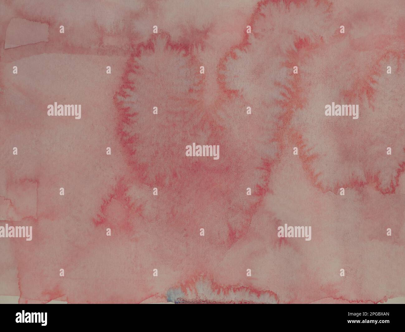 Arrière-plan abstrait et motif de texture rouge et rose couleur sur fond blanc, Illustration aquarelle dessin à la main et peint sur papier Banque D'Images