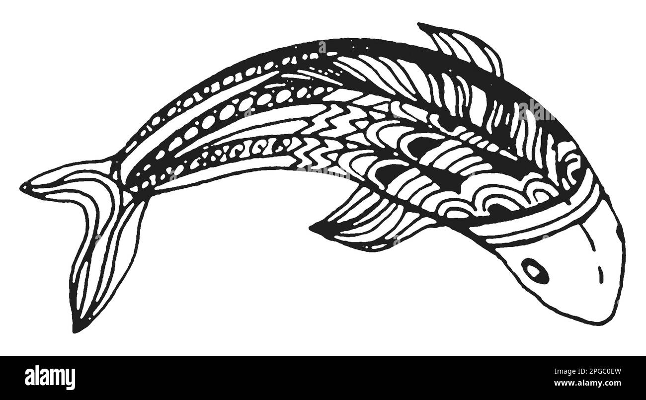 motifs de poissons, dessin à la main, illustration en noir et blanc, dessin au trait Banque D'Images