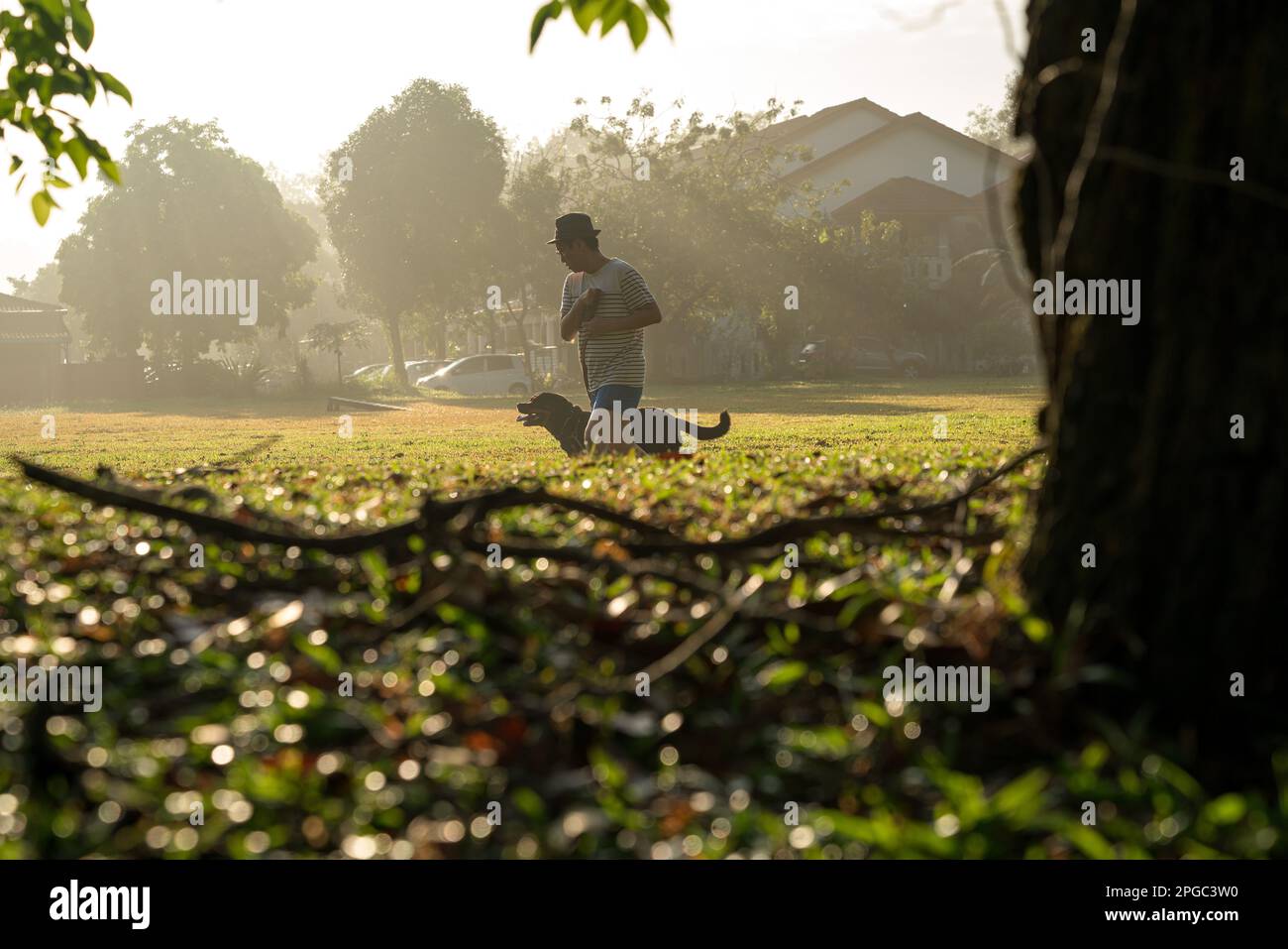 Homme courant avec son chien dans le champ. Mode de vie sain ou concept d'été. Banque D'Images