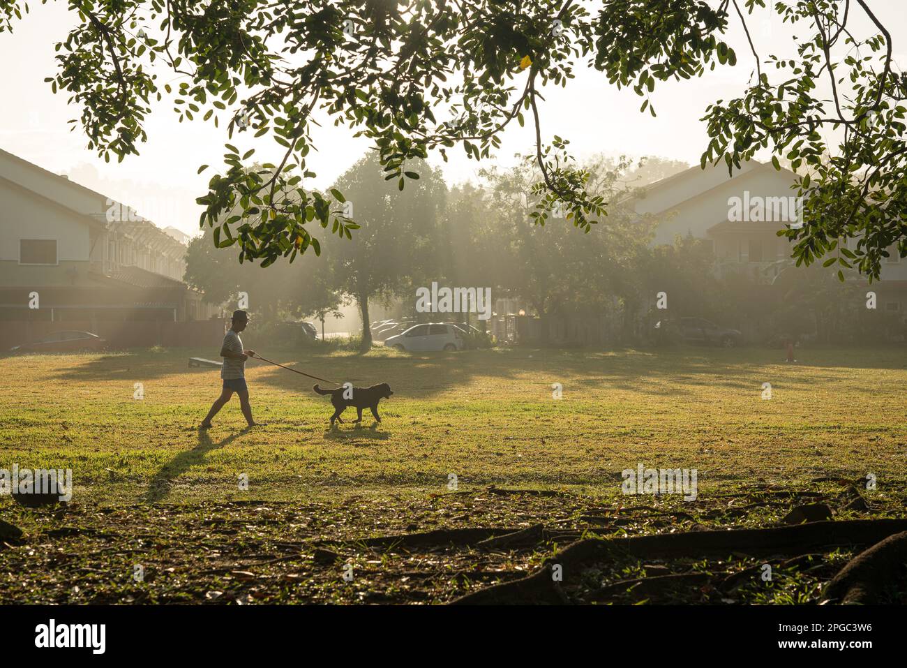 Homme marchant avec un chien sur le terrain, avec le beau soleil du matin. Banque D'Images