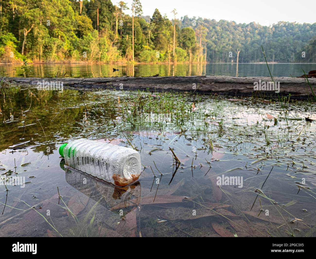 Bouteille en plastique flottant sur un lac. Concept de pollution plastique. Banque D'Images