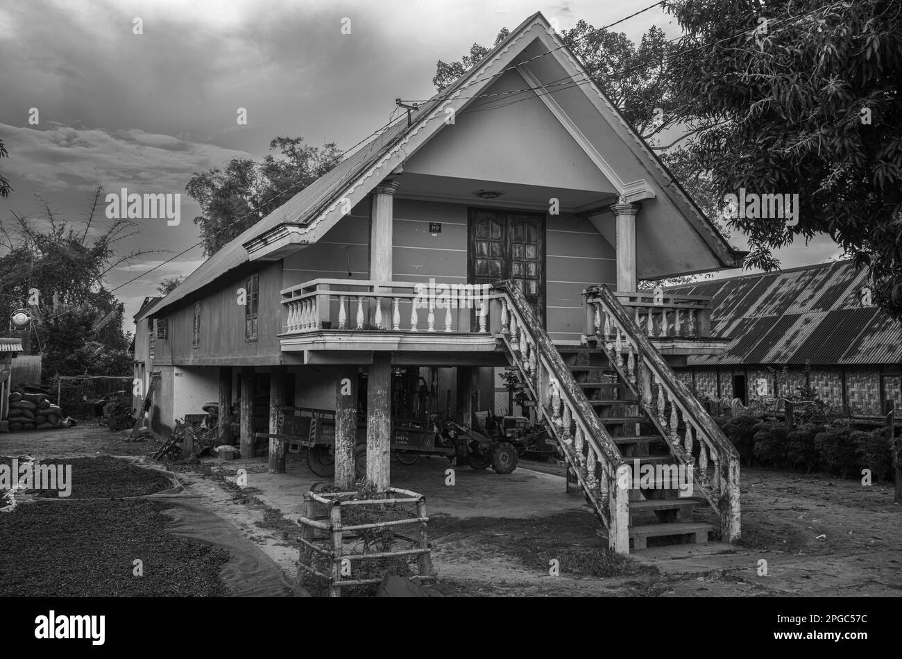 Les cerises de café ont séché à côté d'une maison de la minorité ethnique Mnong moderne mais de style traditionnel à Buon Jun, lien son, Vietnam. Ces maisons sur sti Banque D'Images