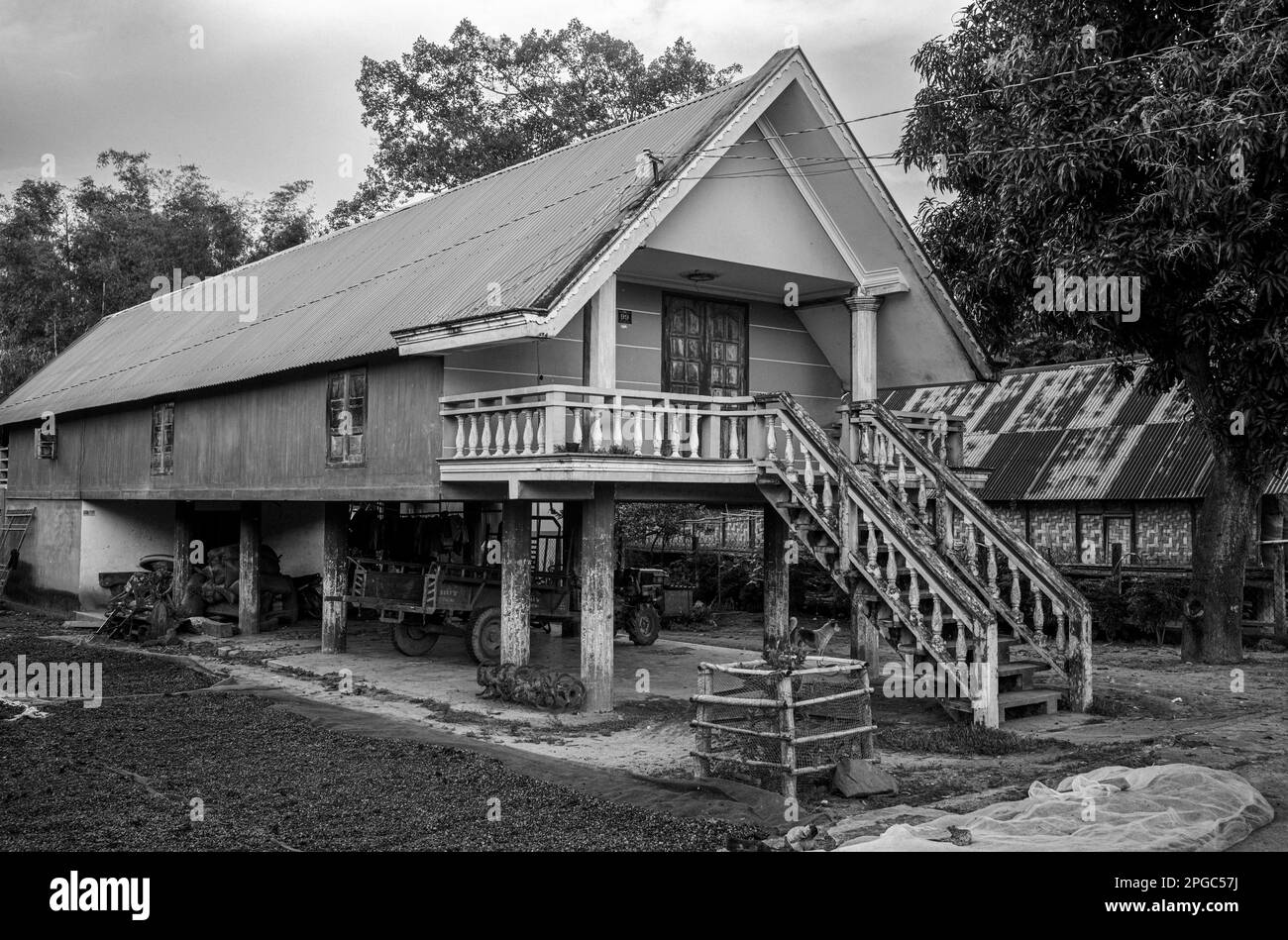 Les cerises de café ont séché à côté d'une maison de la minorité ethnique Mnong moderne mais de style traditionnel à Buon Jun, lien son, Vietnam. Ces maisons sur sti Banque D'Images