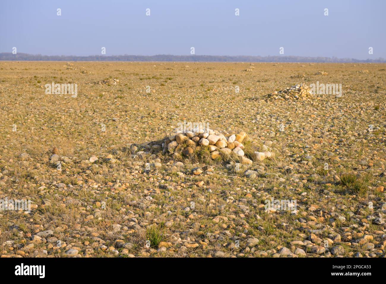 Le Crau un matin ensoleillé au début du printemps. Cette région sèche a été utilisée comme pâturage de l'époque romaine (Provence, France) Banque D'Images