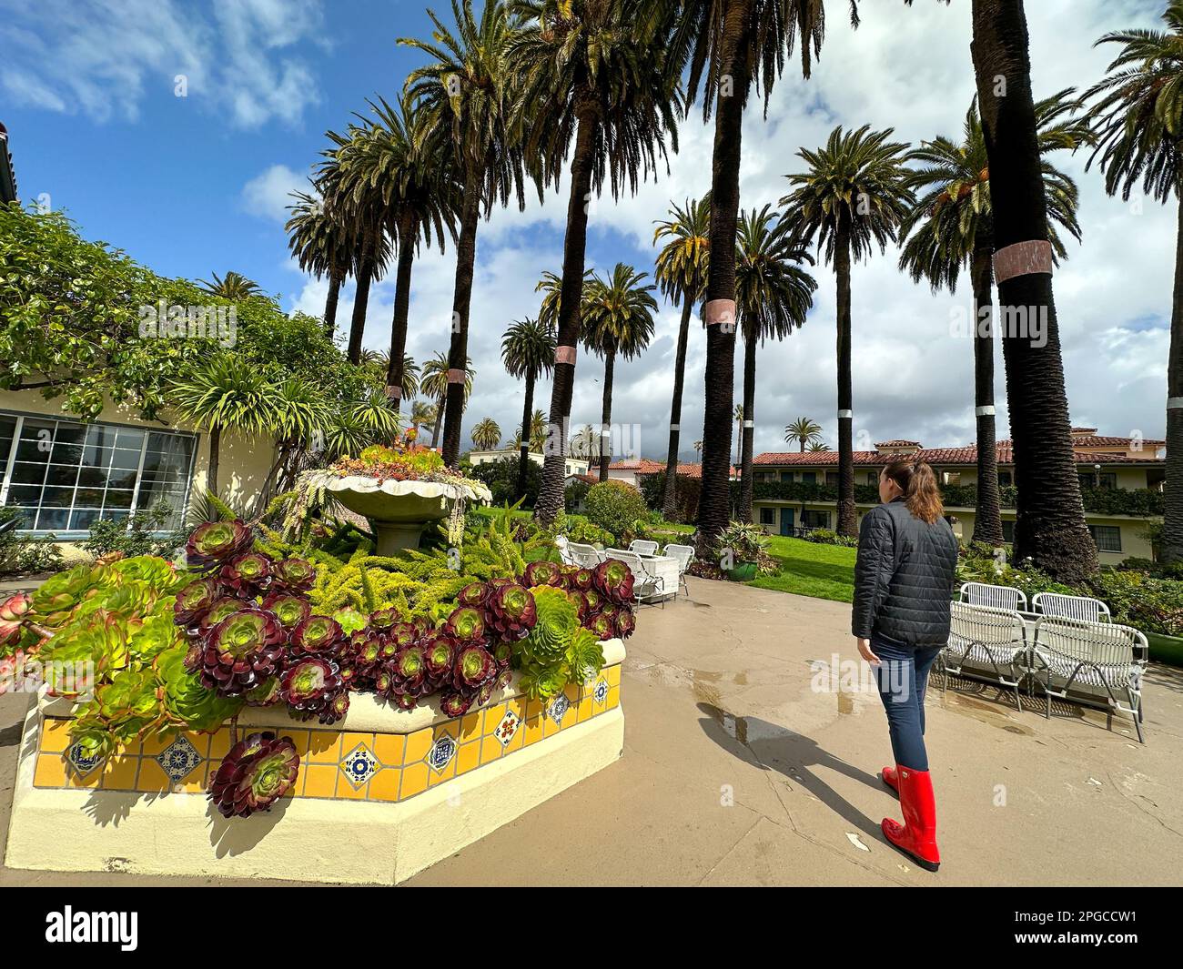 Santa Barbara, Californie, États-Unis. 21st mars 2023. Le directeur des ventes passe à travers les jardins sous les nuages de cotton Candy tandis qu'ils flottent dans le ciel bleu de bébé au-dessus de majestueux palmiers sur le magnifique hôtel Milo côté plage sur Cabrillo Blvd. C'était le camp de pêche indien de Chumash qui a disparu depuis des siècles. (Credit image: © Amy Katz/ZUMA Press Wire) USAGE ÉDITORIAL SEULEMENT! Non destiné À un usage commercial ! Banque D'Images