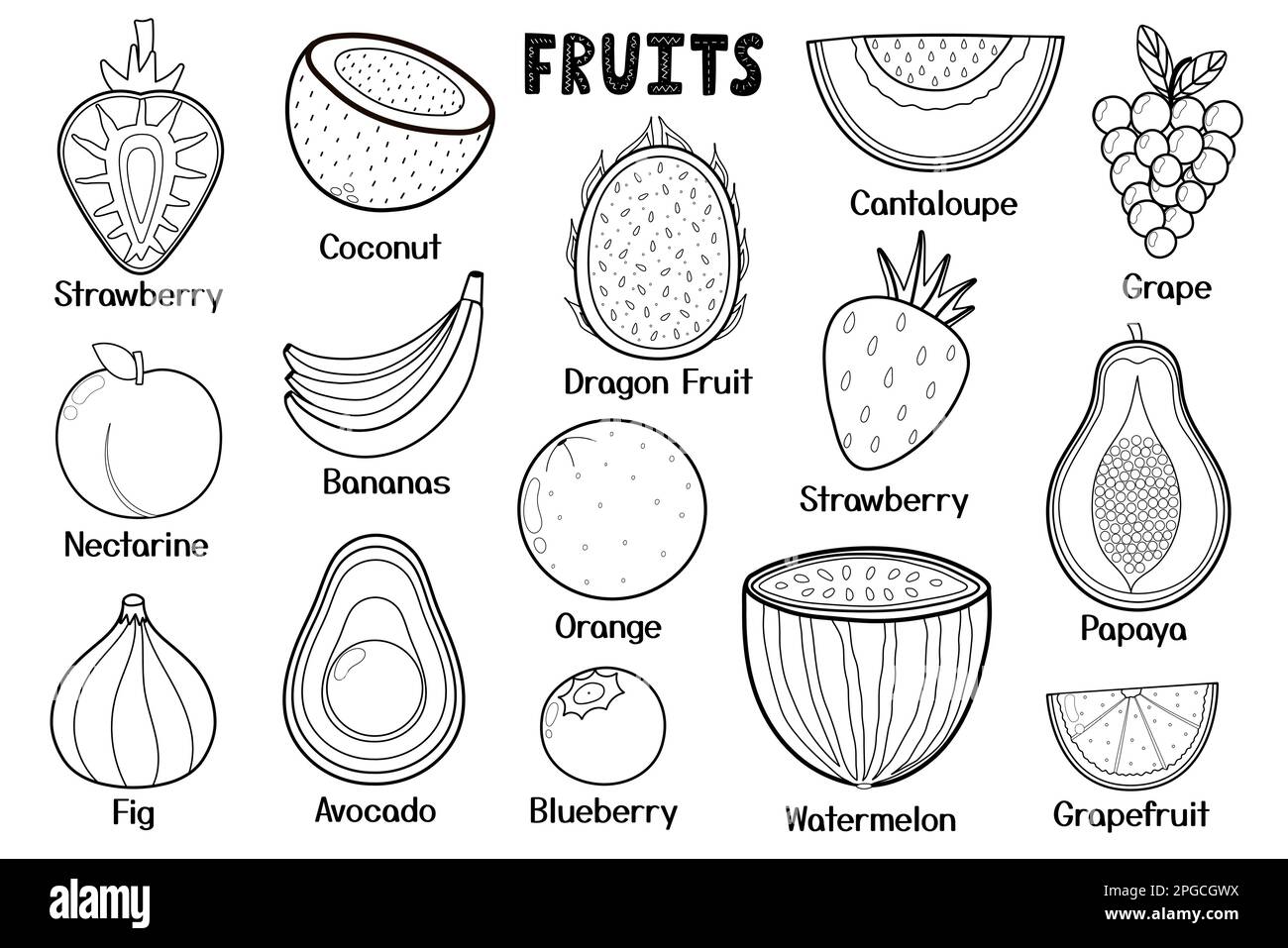 Collection de fruits noir et blanc. Aliments sains éléments isolés. Idéal pour colorier la page Illustration de Vecteur