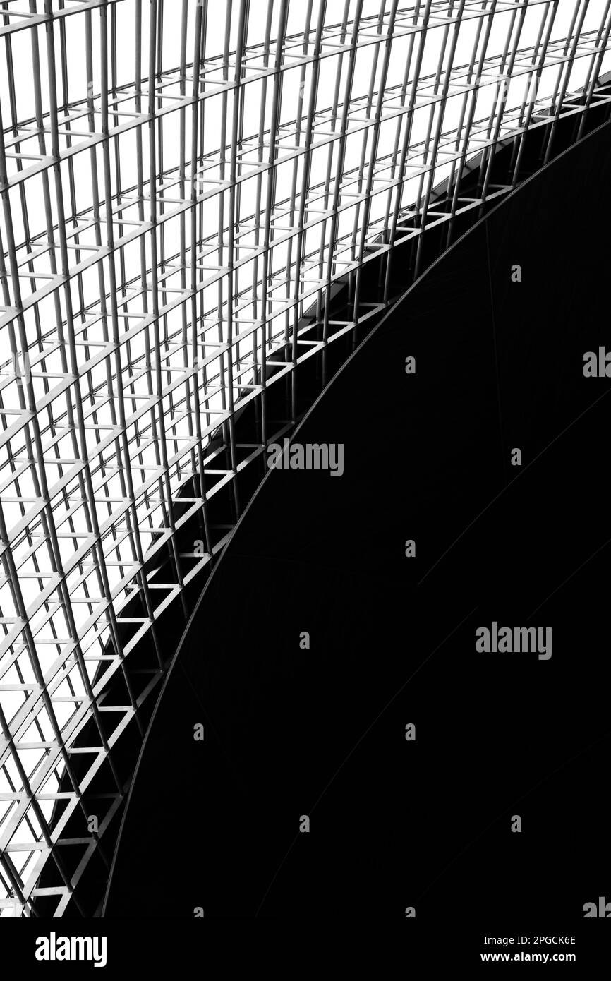 Composition abstraite de lignes courbes et droites dans un motif géométrique complexe, sur un arrière-plan simple Banque D'Images