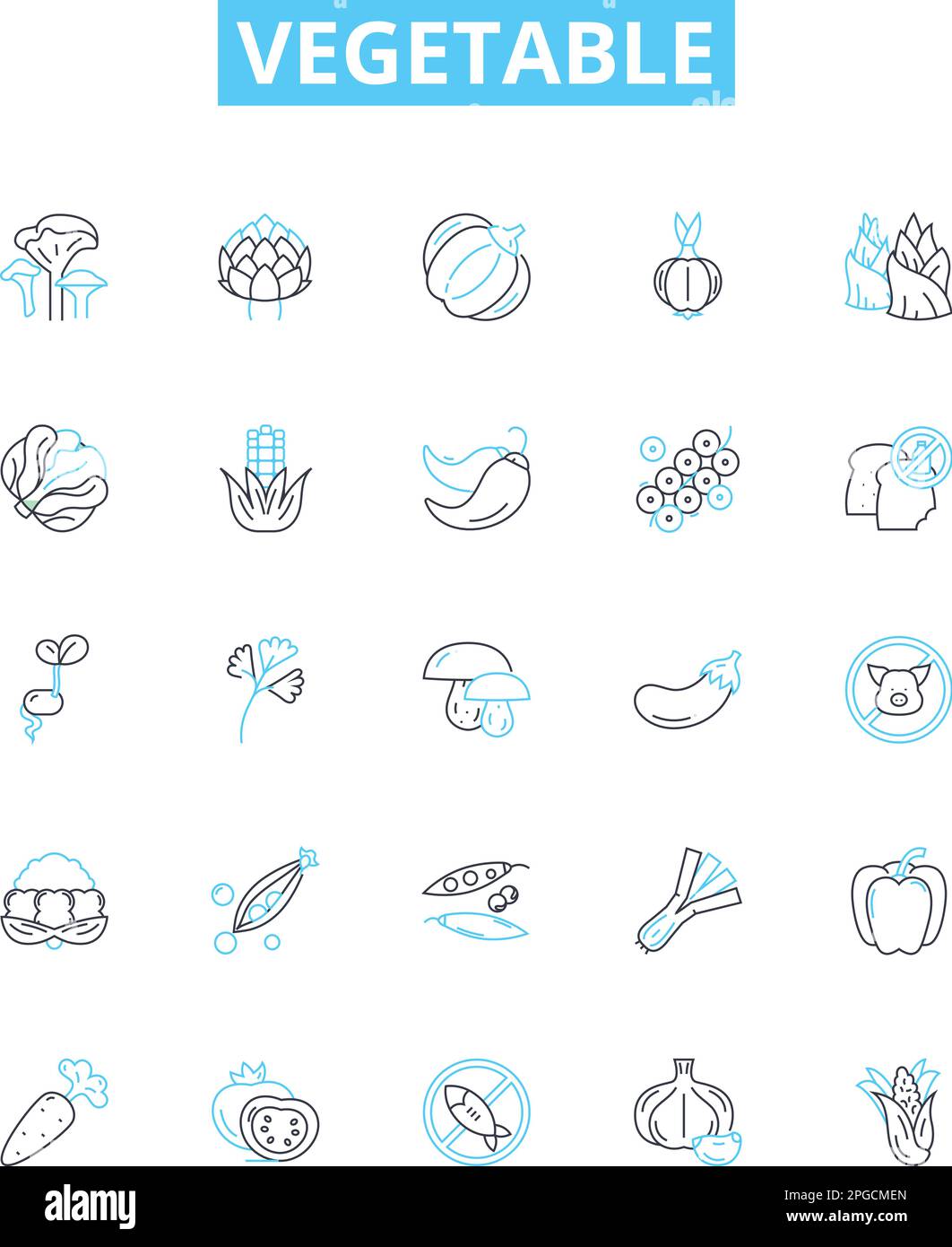 Jeu d'icônes de lignes vectorielles végétales. Pois, carottes, céleri, pommes de terre, brocoli, Radis, illustration de Celeriac, présentent les symboles et les signes du concept Illustration de Vecteur