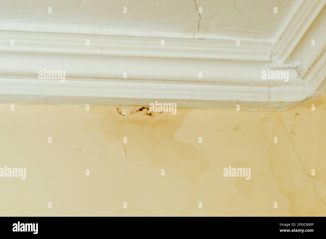 Le moule provient d'une fuite au niveau du toit. Taches d'eau et moisissures sur un mur beige. Ancien toit. Fissures sur le plafond et le mur. Banque D'Images