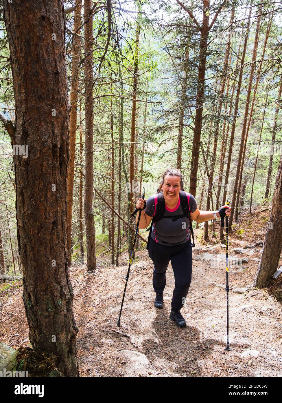 Une femme qui profite d'une activité exaltante de randonnée sur une colline dans la forêt norvégienne, entourée d'arbres et de plantes. Banque D'Images