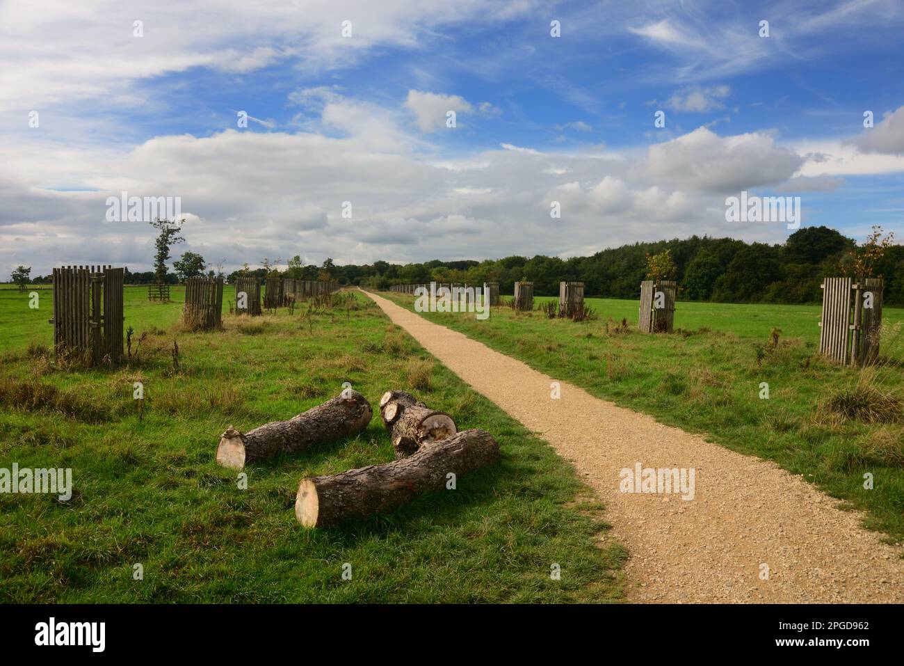 Un sentier dans le parc Lydiard, Swindon, Wiltshire. Banque D'Images