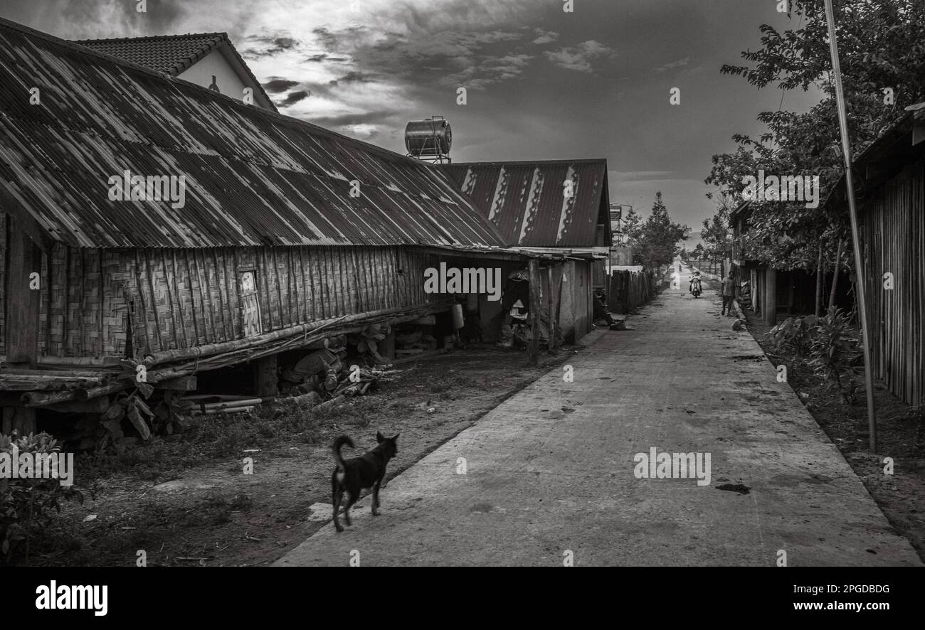 Une ruelle passé une longue maison traditionnelle sur pilotis menant au village de la minorité ethnique Mnong de Buon Jun, lien son, Vietnam. Banque D'Images