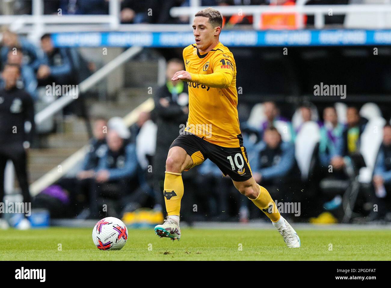 Daniel Podence de Wolverhampton Wanderers - Newcastle United / Wolverhampton Wanderers, Premier League, St James' Park, Newcastle upon Tyne, Royaume-Uni - 12th mars 2023 usage éditorial exclusif - restrictions DataCo. Applicables Banque D'Images