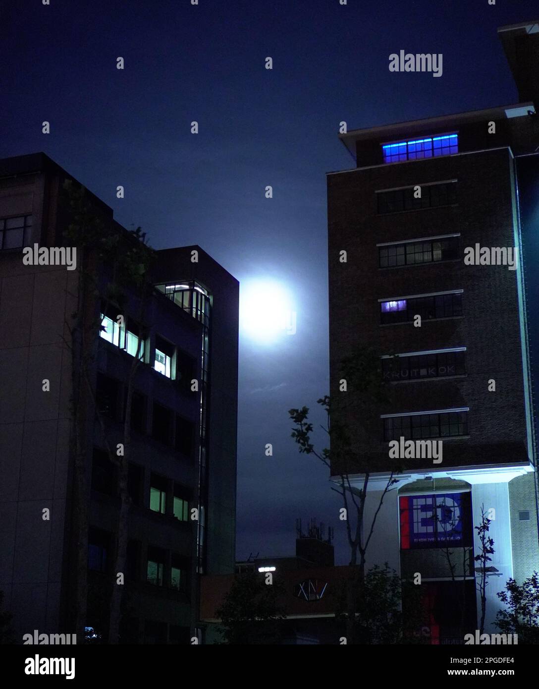 Photos nocturnes des rues de la ville hollandaise d'Eindhoven où vous pouvez voir une certaine architecture et de la verdure. Banque D'Images