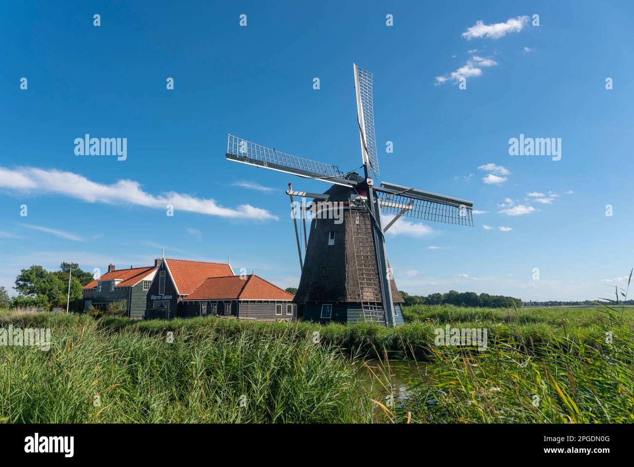 Ancien moulin à grain, moulin à vent de Otter, Oterleek, Hollande-Nord, pays-Bas, Europe Banque D'Images