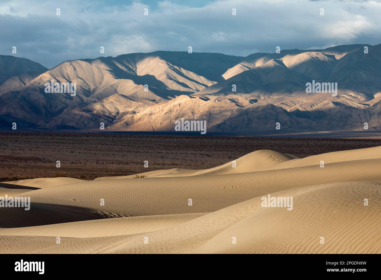 Les dunes de sable de Mesquite Flat traversent la vallée de la Vallée de la mort, en Californie. Banque D'Images
