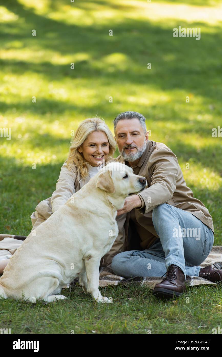 couple d'âge moyen heureux qui câlin le chien du labrador tout en étant assis sur une couverture pendant le pique-nique dans le parc, image de stock Banque D'Images