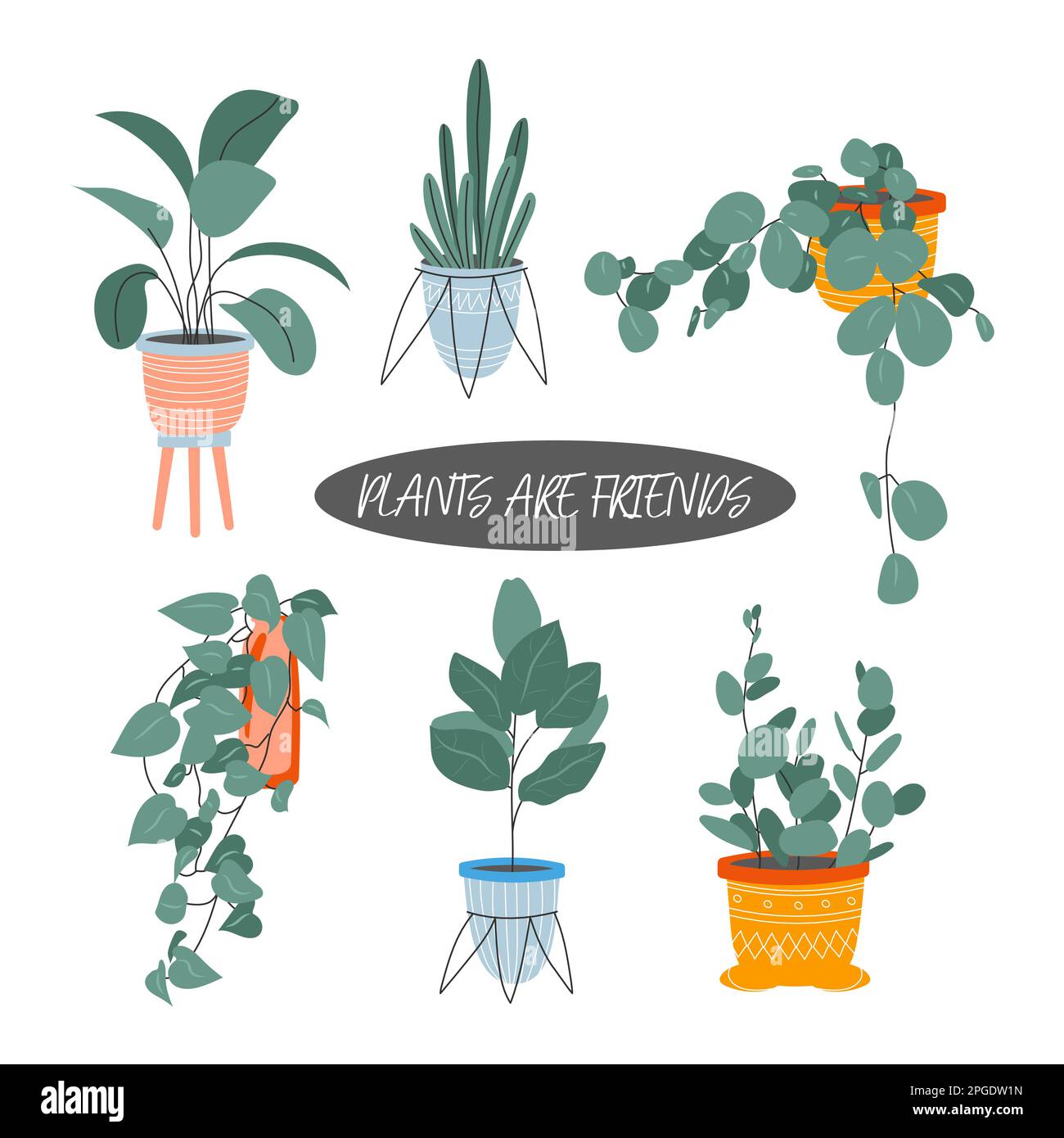 Collection de plantes de maison décoratives Illustration de Vecteur