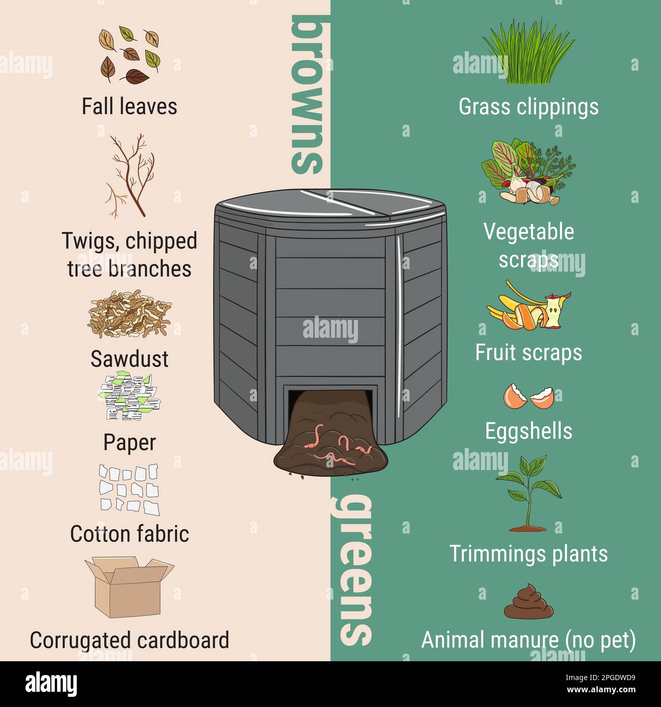 Infographie de bac de compostage de jardin avec des débris. Quoi faire du compost. Rapport vert et marron pour le compostage. Recyclage des déchets organiques. Vie durable c Illustration de Vecteur