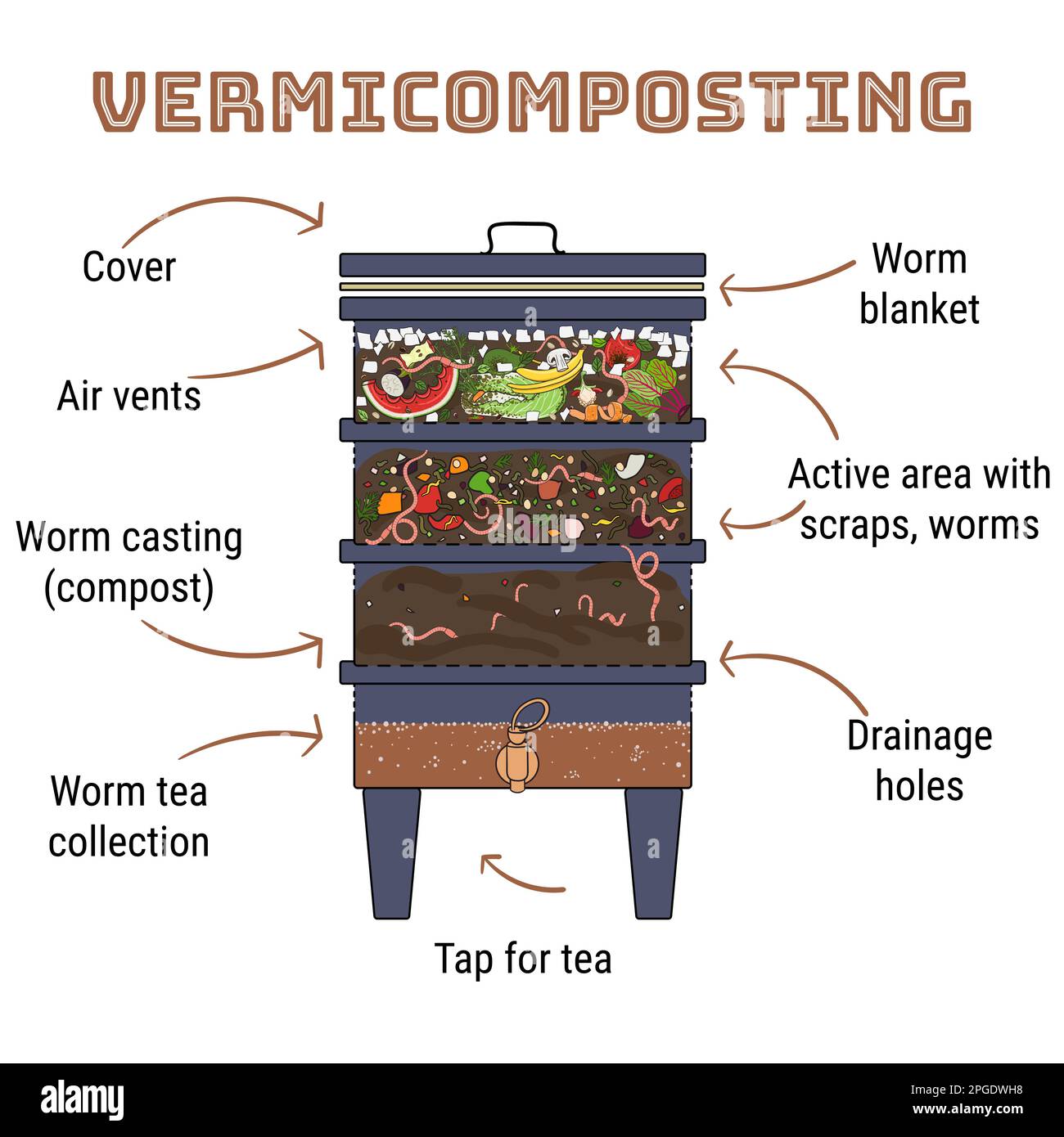 Infographie sur le vermicomposter. Composants de vermicomposter. Conception schématique de Vermicomposter. Compostage de vers. Recyclage des déchets organiques, engrais ou Illustration de Vecteur