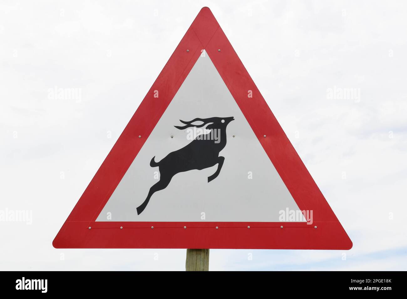 Panneau routier attention aux animaux à Hogsback sur l'Afrique du Sud Banque D'Images