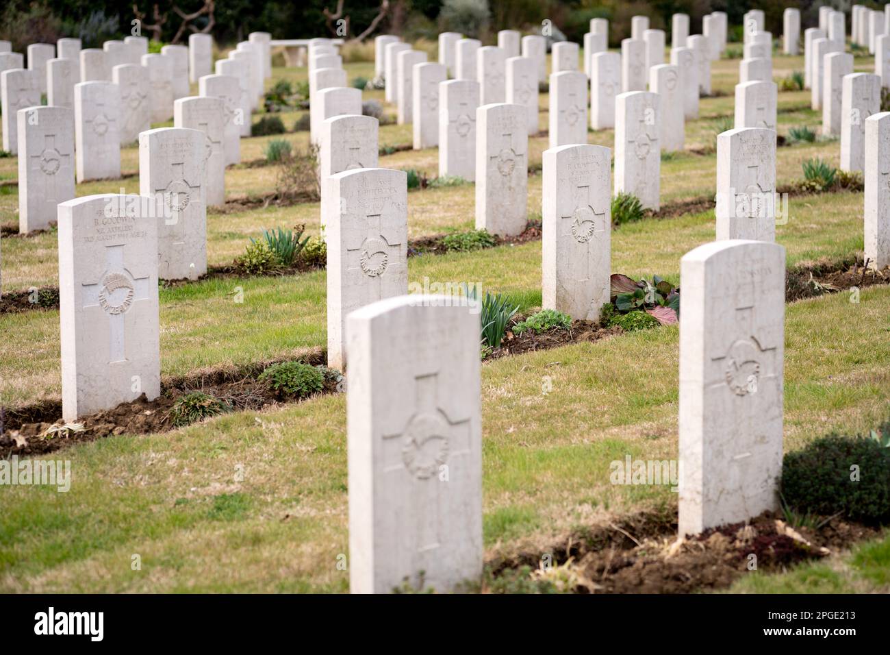 Le cimetière militaire de la Commission des sépultures de guerre du Commonwealth près de la rivière Arno, à la périphérie de Florence. Il contient 1 632 inhumations du Commonwealth de WW2 Banque D'Images