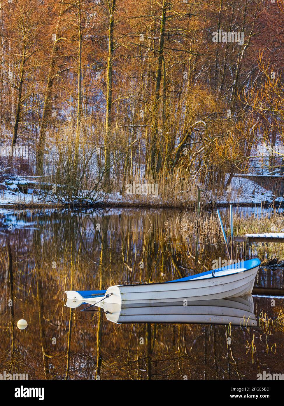 Une paisible scène d'hiver d'un bateau amarré à côté d'une jetée dans la nature, avec le reflet des arbres et des plantes sur l'eau fixe fournissant la beauté. Banque D'Images