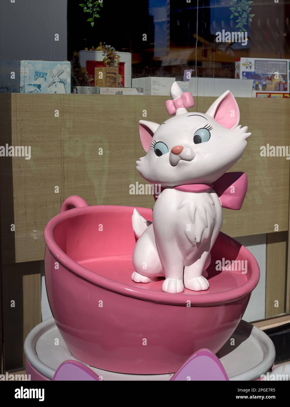 Tête tournant blanc chat modèle dans une tasse rose Banque D'Images