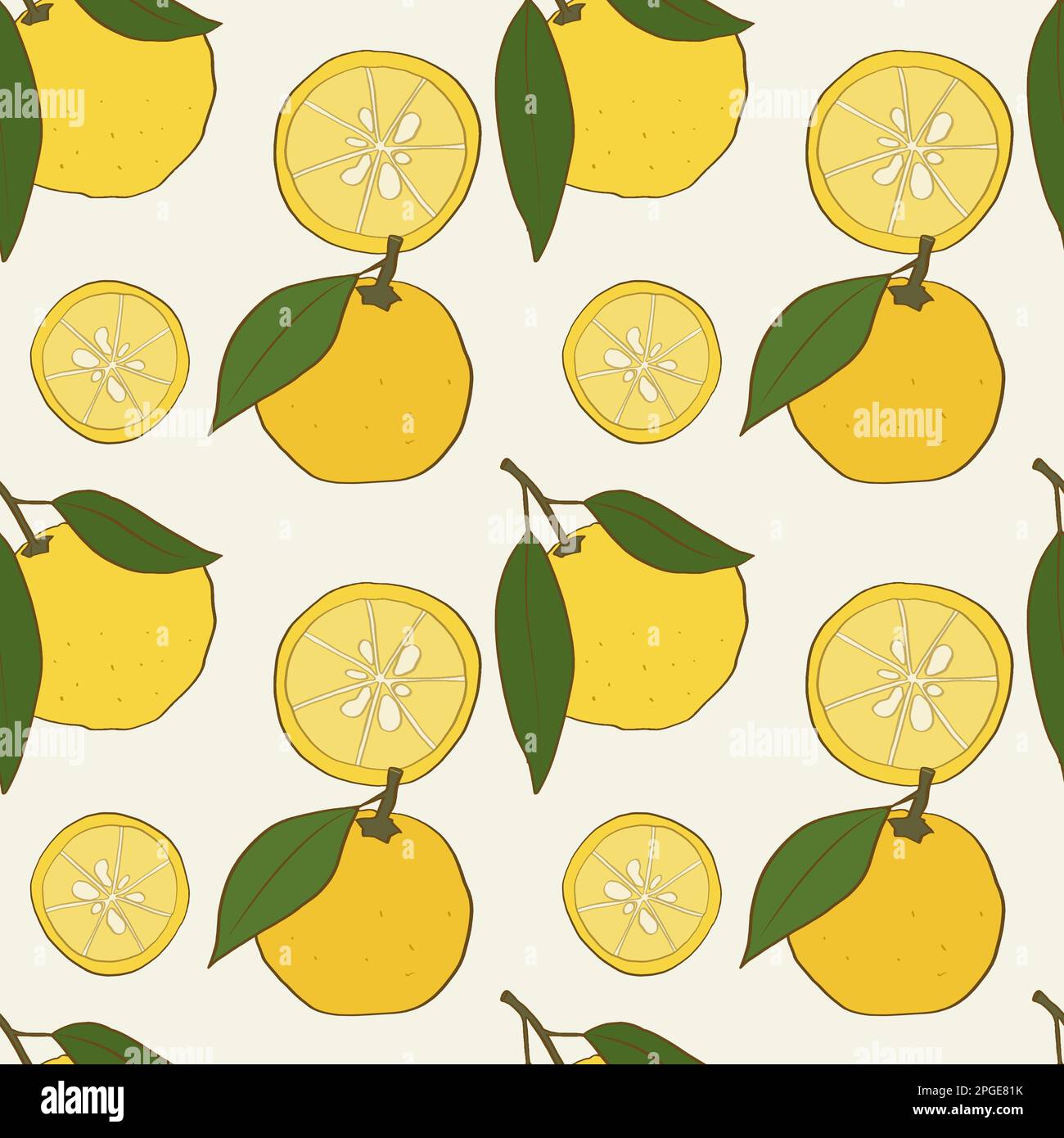 Motif sans couture avec fruits yuzu dessinés à la main et feuilles Illustration de Vecteur