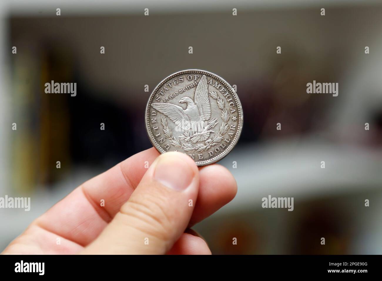 Main tenant une pièce d'argent d'un dollar - Morgan Dollar Banque D'Images