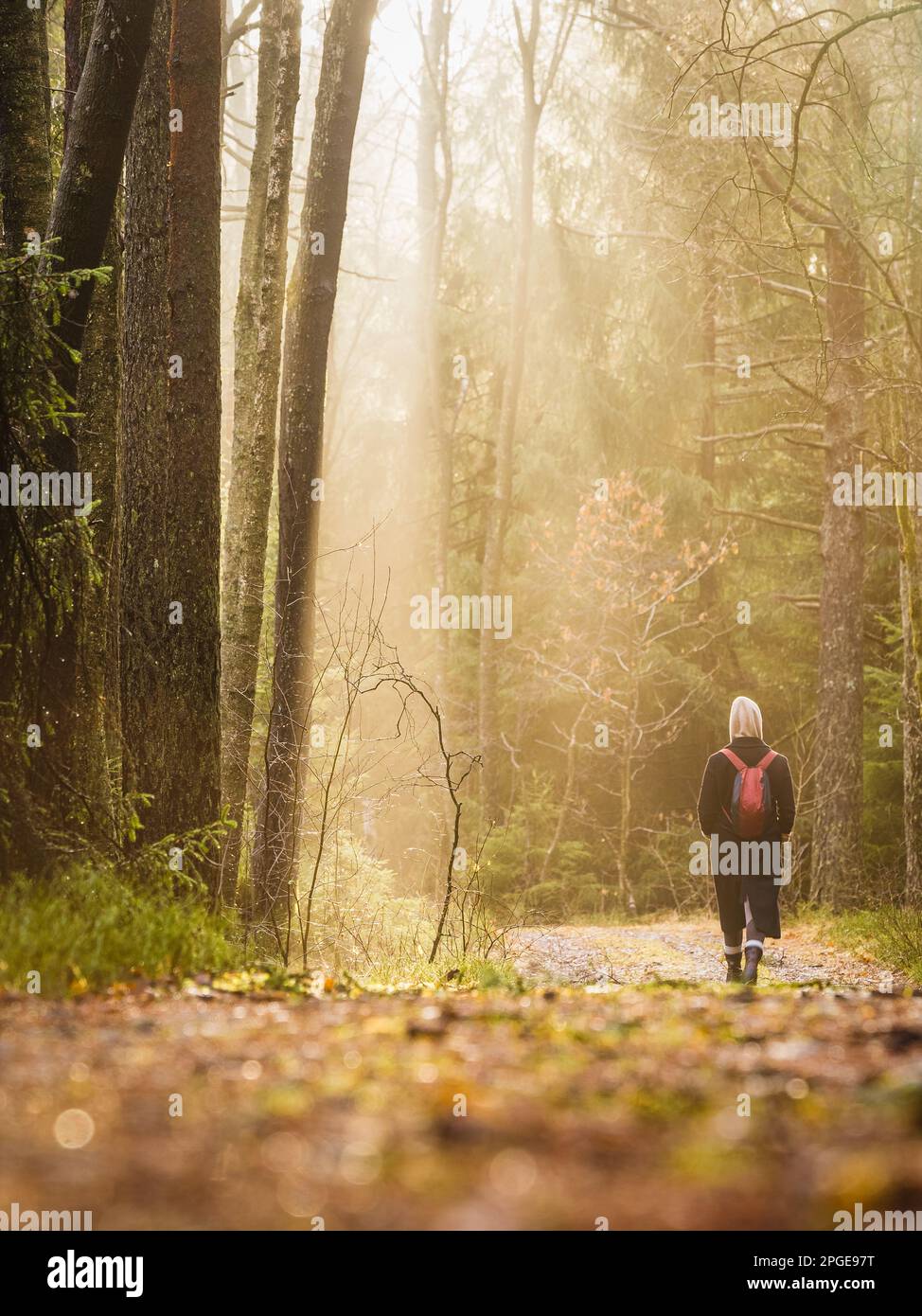 Femme marchant sur la route en forêt Banque D'Images
