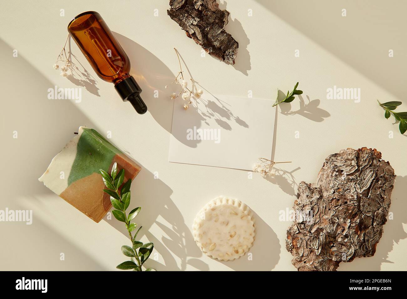 Produits cosmétiques naturels sous les ombres avec maquette. Flacon en verre de sérum compte-gouttes d'acide hyaluronique, savon naturel parmi les cailloux et écorce d'arbre Banque D'Images