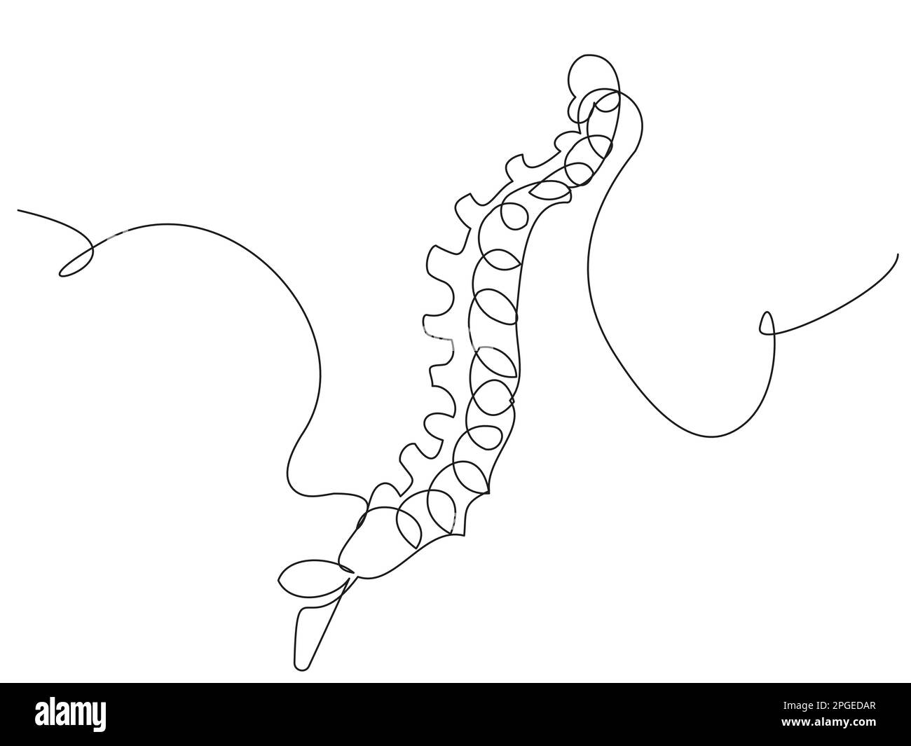 Colonne vertébrale humaine sur une ligne sur un fond blanc. Illustration de Vecteur