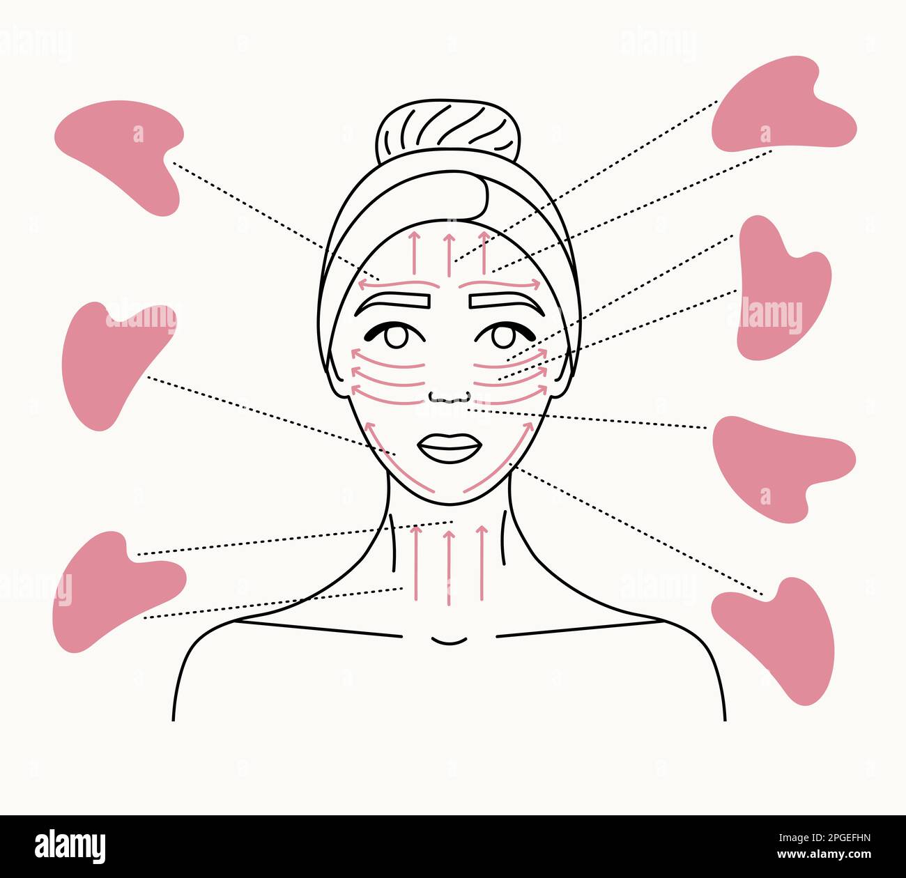 Programme de massage du visage. Comment faire le massage gua sha. Portrait d'une femme avec un grattoir gua sha. Illustration d'une ligne vectorielle dessinée à la main. Illustration de Vecteur